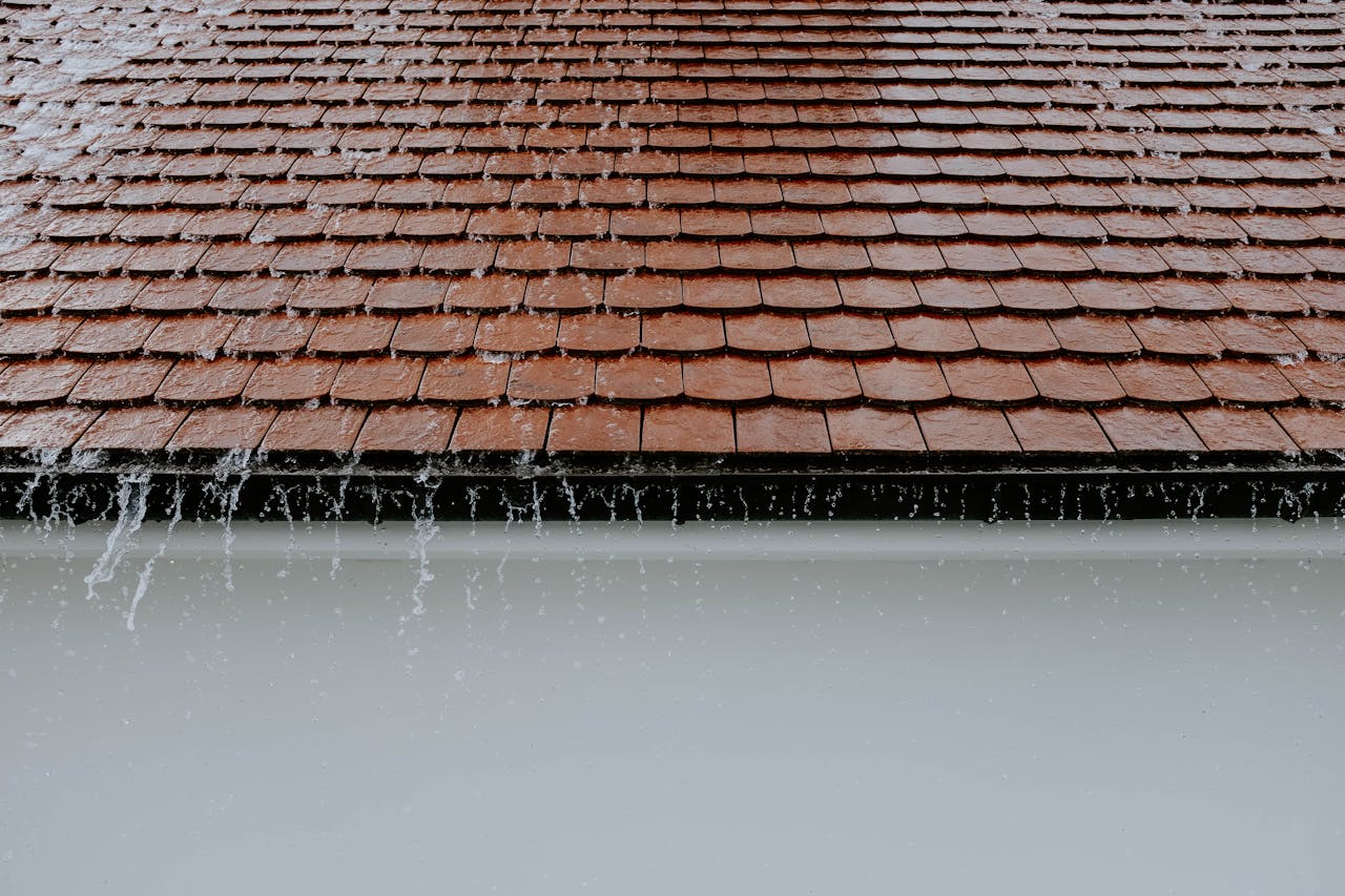 pexels-adrien-olichon-1257089-2663254 dakgoot reparatie
